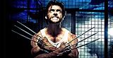 Wolverine.jpg image by oxyfication