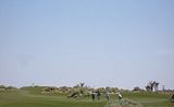 Golfing.jpg image by stackyochips26