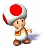 toad.jpg image by cleos20