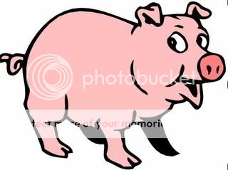 Pig